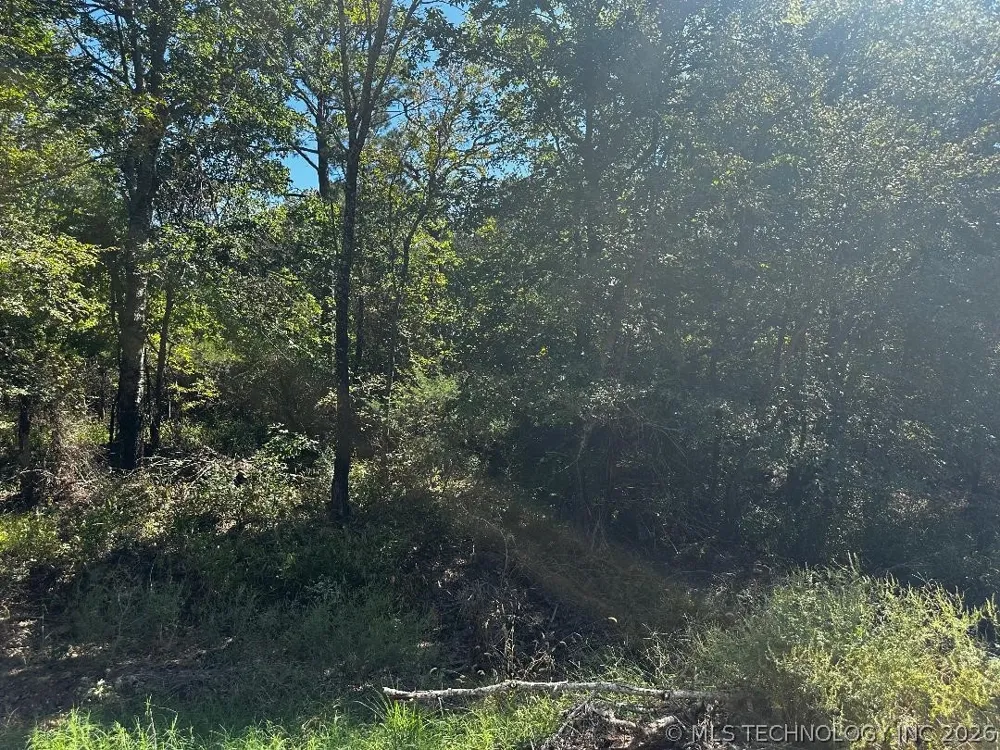 Miller Road Stringtown, OK 74569