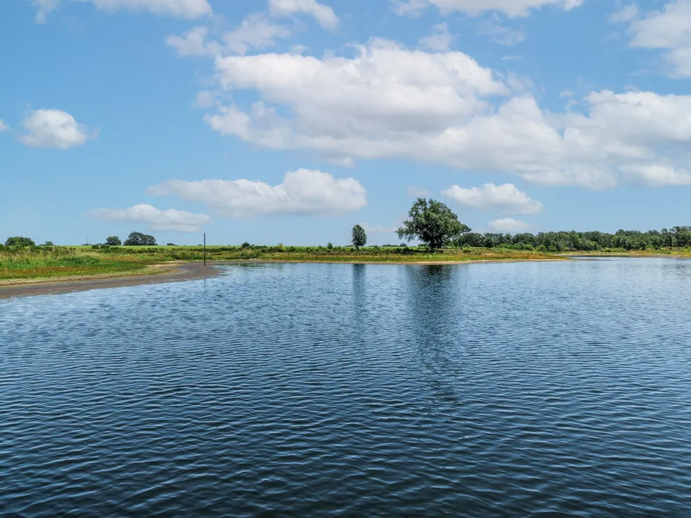 County Road 1604 Grand Saline, TX 75140