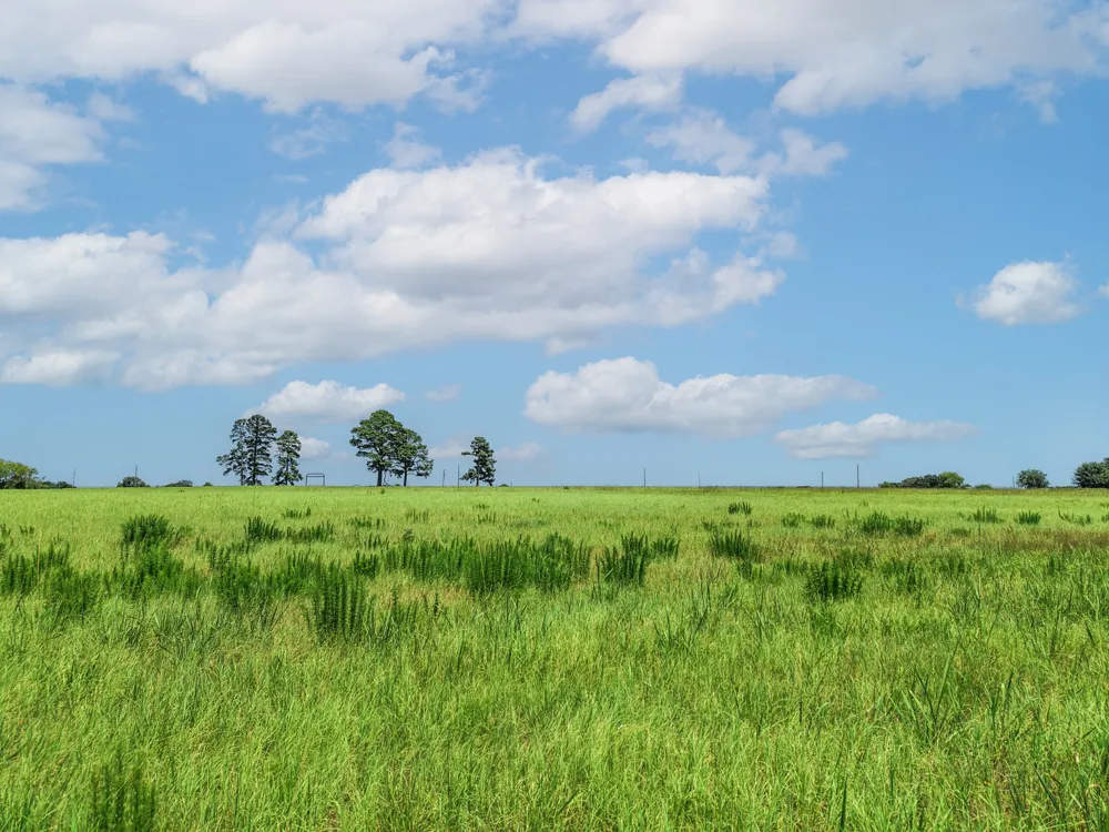 County Road 1604 Grand Saline, TX 75140