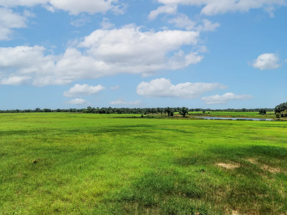 County Road 1604 Grand Saline, TX 75140