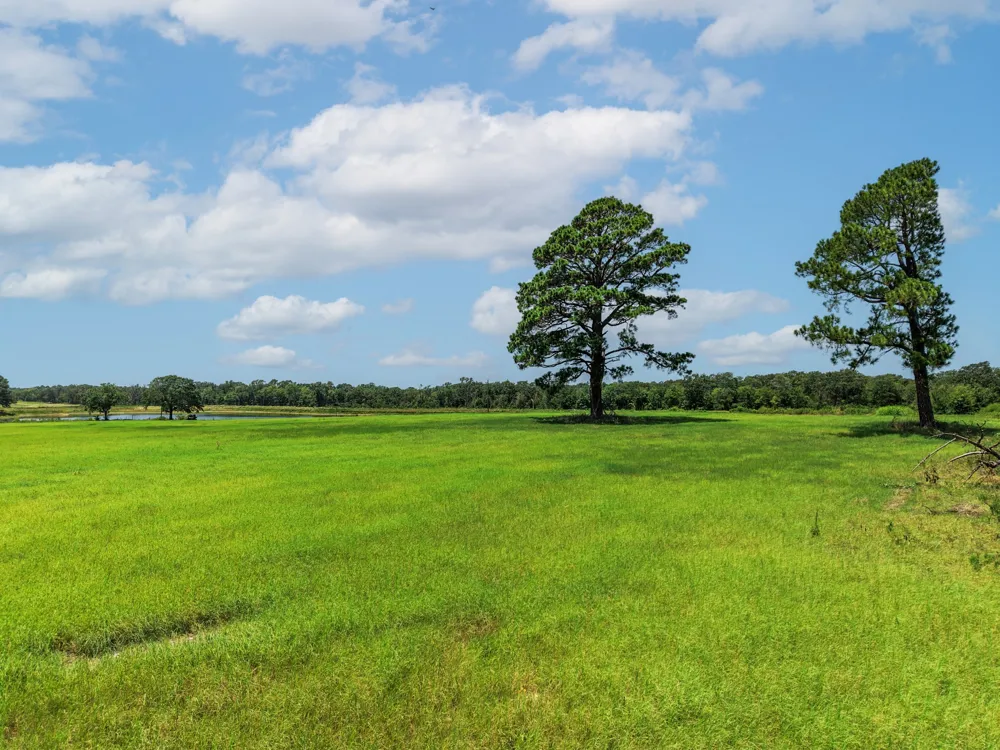 County Road 1604 Grand Saline, TX 75140