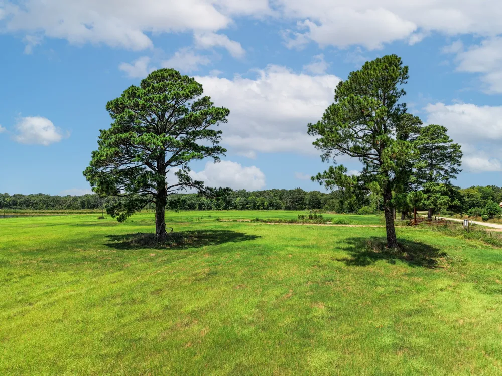 County Road 1604 Grand Saline, TX 75140