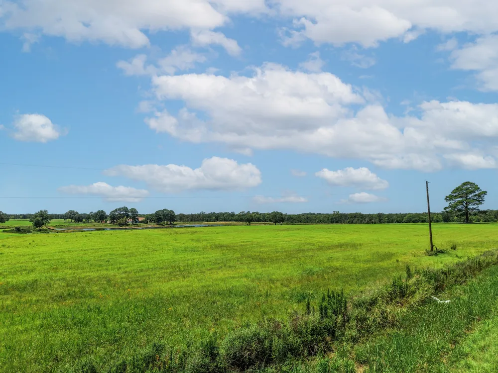 County Road 1604 Grand Saline, TX 75140