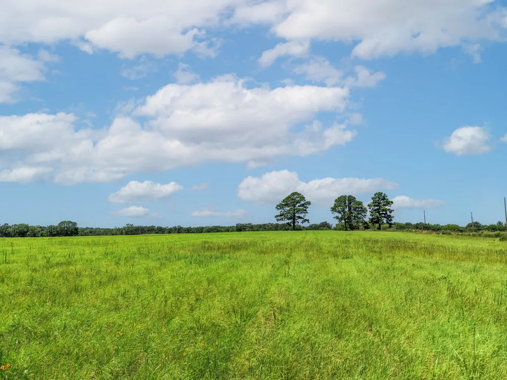 County Road 1604 Grand Saline, TX 75140