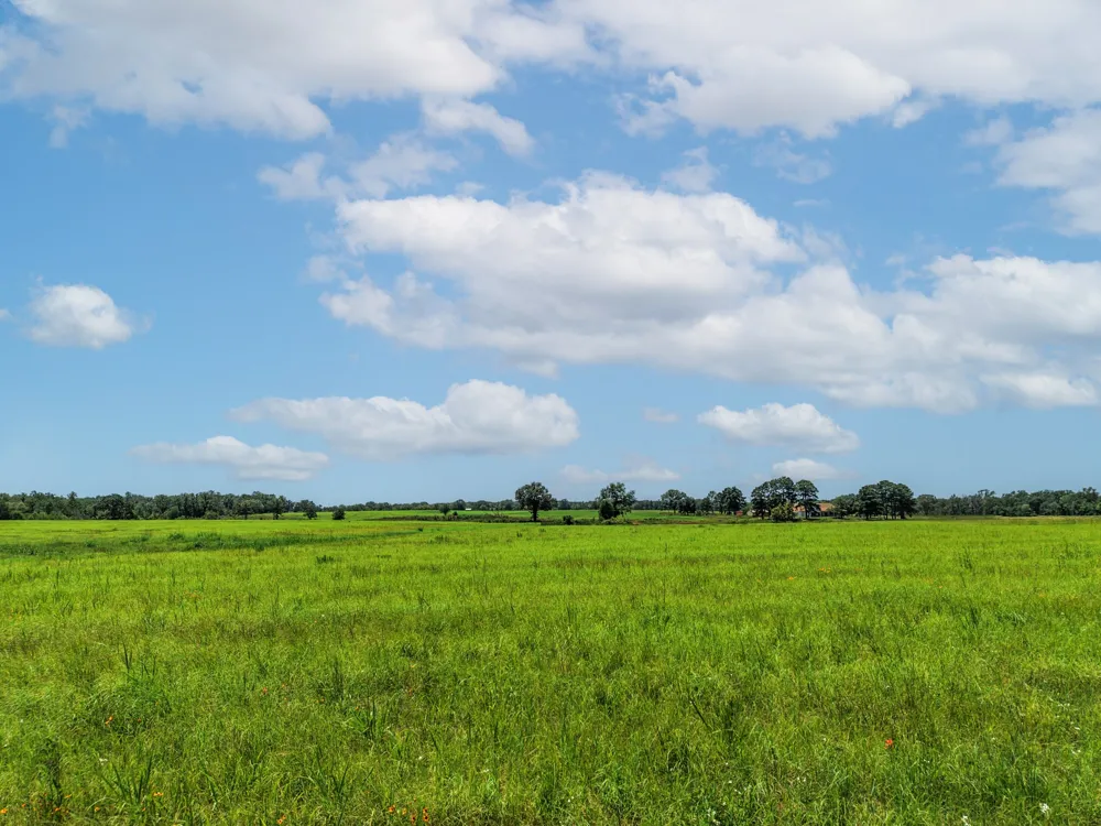 County Road 1604 Grand Saline, TX 75140