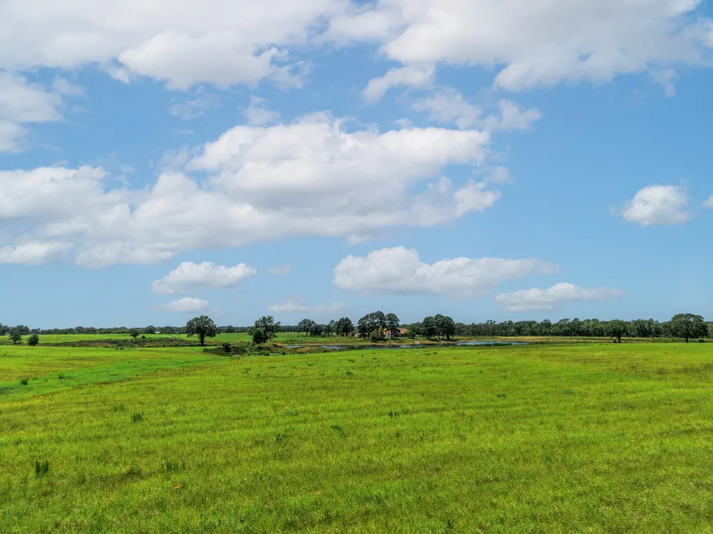County Road 1604 Grand Saline, TX 75140