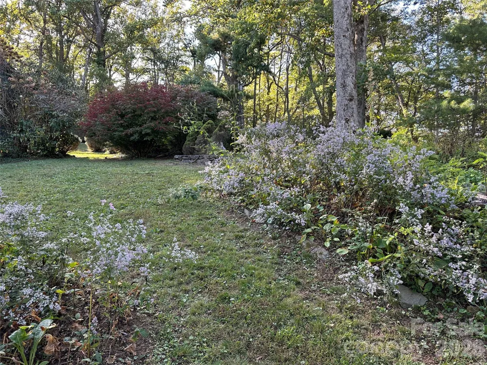 16 Osborn Knob Road Little Switzerland, NC 28749
