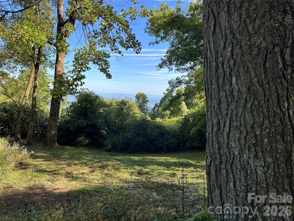 16 Osborn Knob Road Little Switzerland, NC 28749