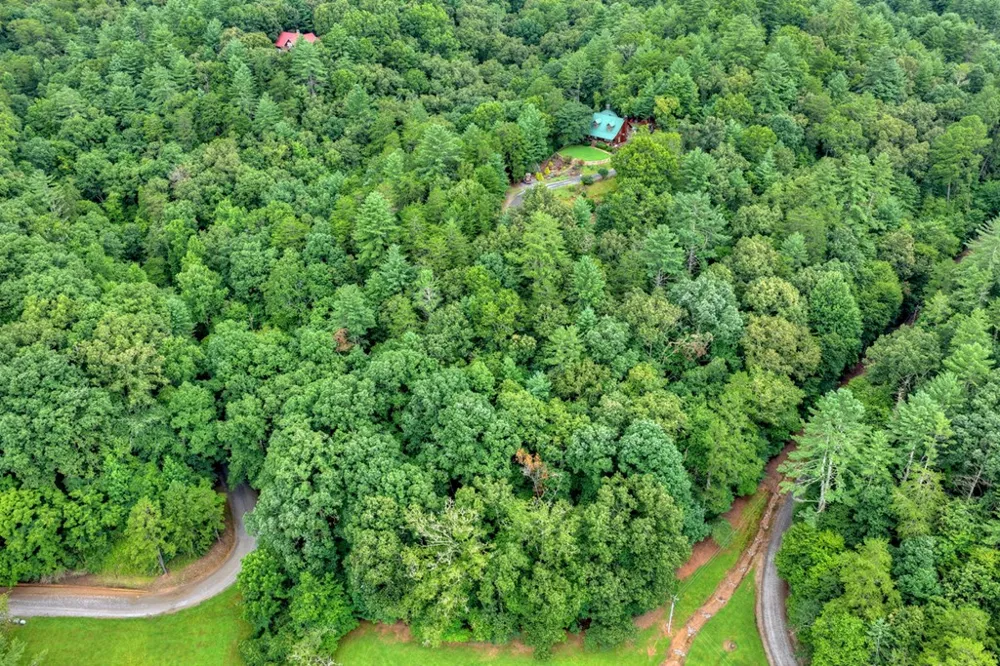 Lot 5B Toccoa River Forest Mineral Bluff, GA 30559