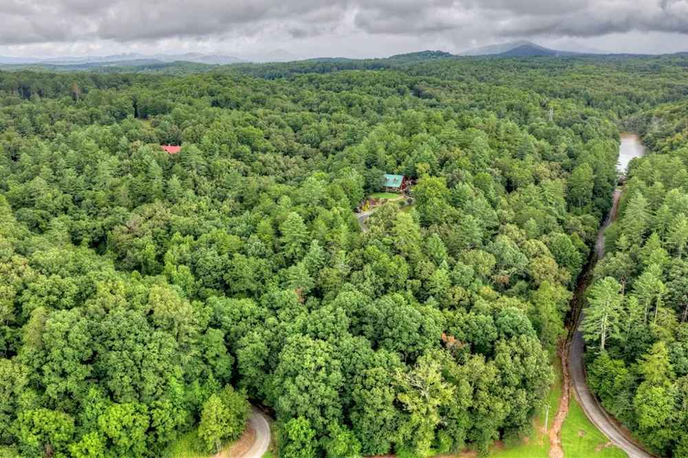 Lot 5B Toccoa River Forest Mineral Bluff, GA 30559