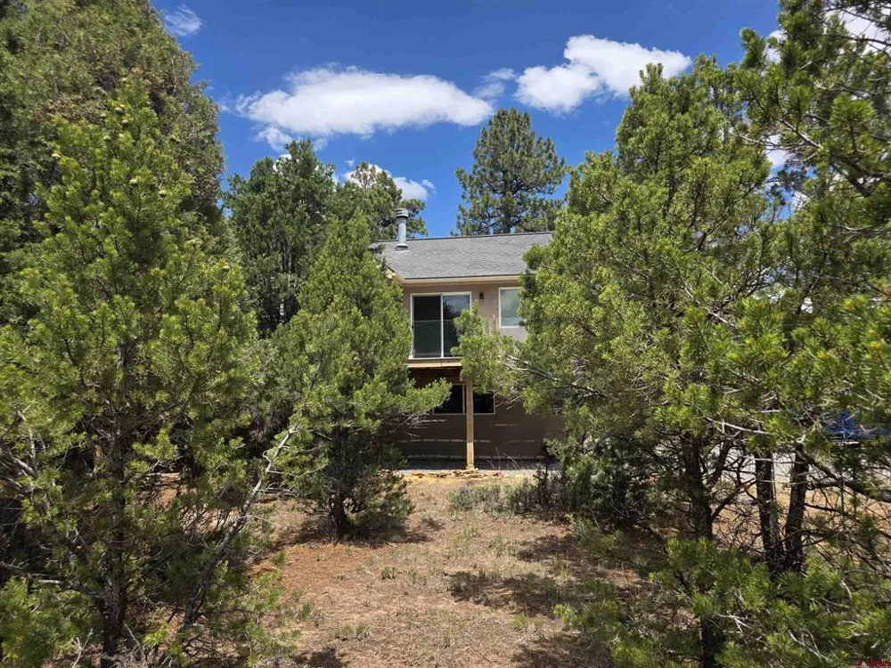 709 Ponderosa Drive Ridgway, CO 81432