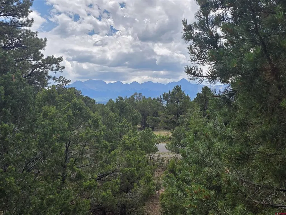 709 Ponderosa Drive Ridgway, CO 81432