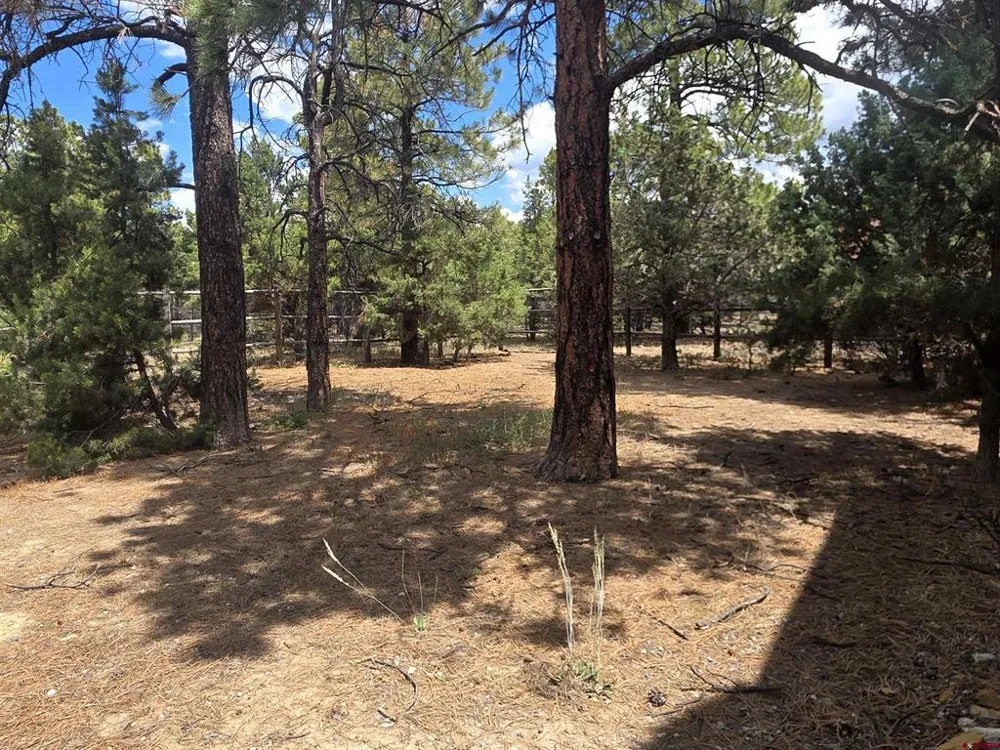 709 Ponderosa Drive Ridgway, CO 81432