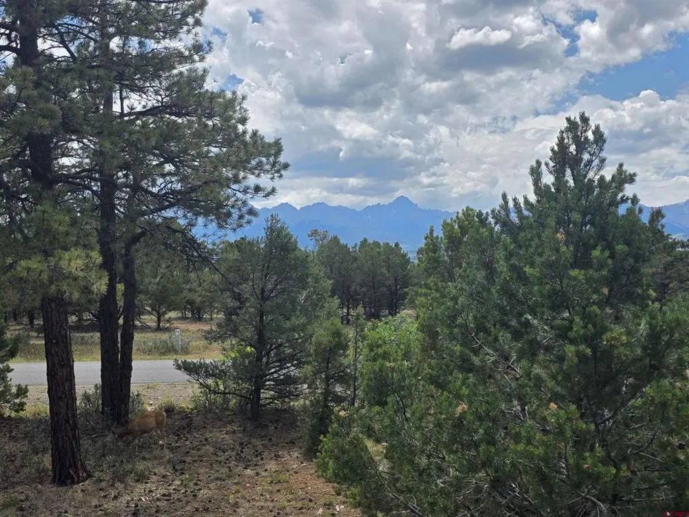 709 Ponderosa Drive Ridgway, CO 81432