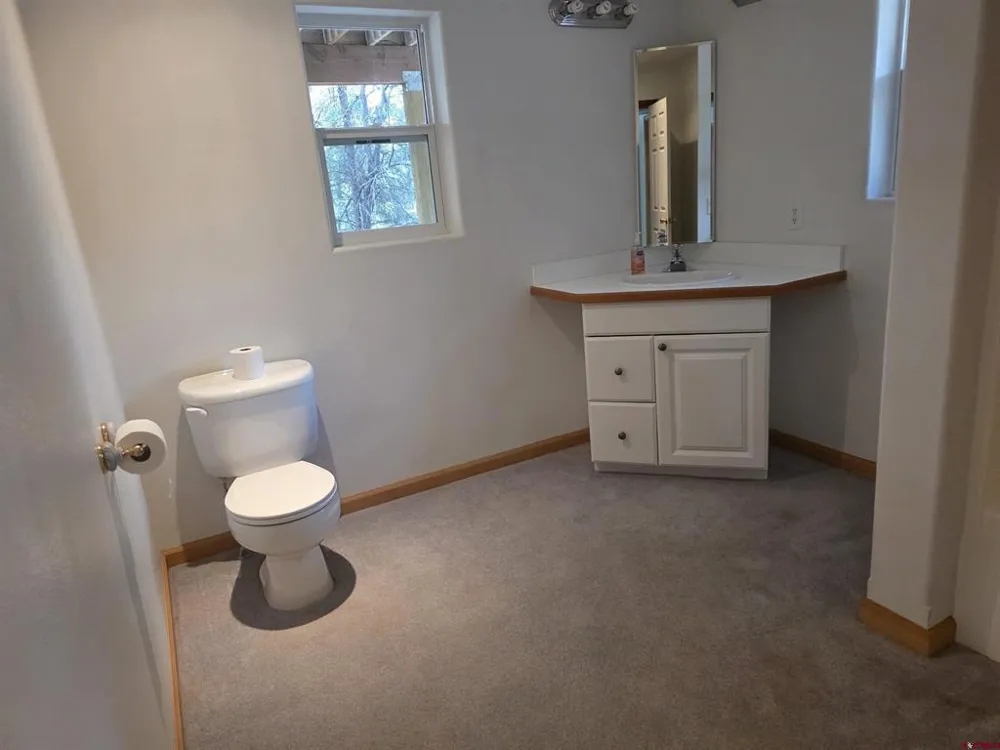 709 Ponderosa Drive Ridgway, CO 81432