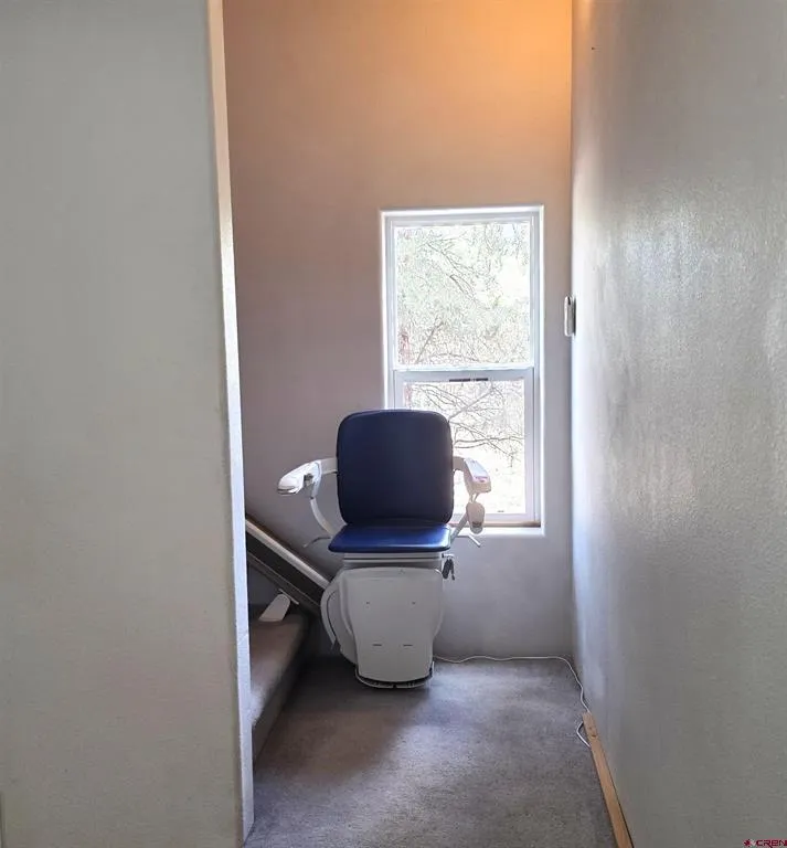 709 Ponderosa Drive Ridgway, CO 81432