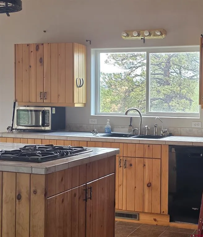 709 Ponderosa Drive Ridgway, CO 81432