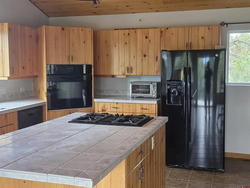 709 Ponderosa Drive Ridgway, CO 81432