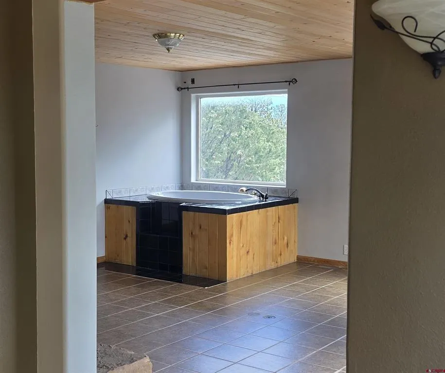 709 Ponderosa Drive Ridgway, CO 81432