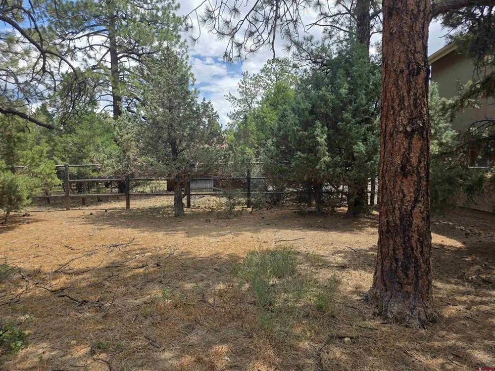 709 Ponderosa Drive Ridgway, CO 81432