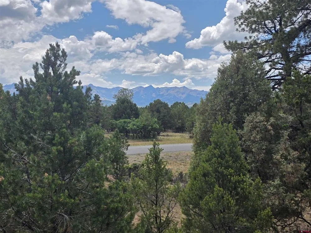 709 Ponderosa Drive Ridgway, CO 81432