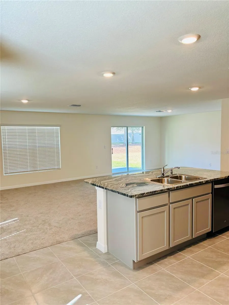13649 WHISKEY DAISY DRIVE Dade City, FL 33525