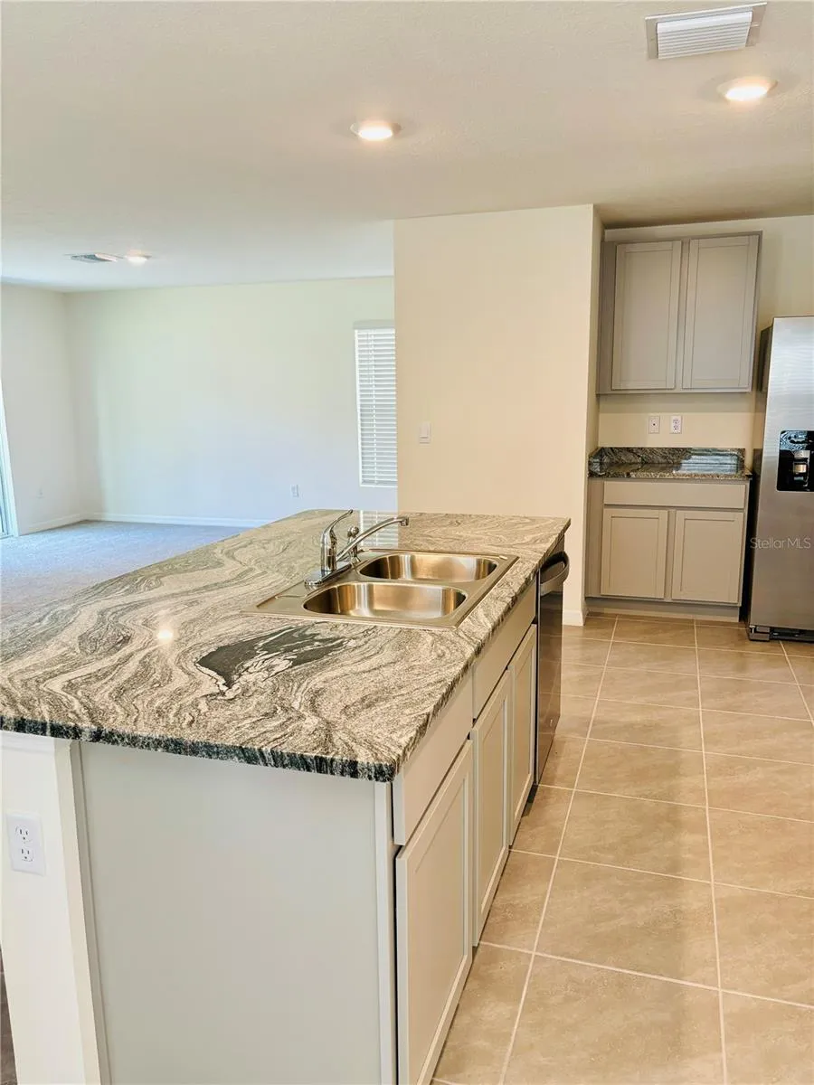 13649 WHISKEY DAISY DRIVE Dade City, FL 33525