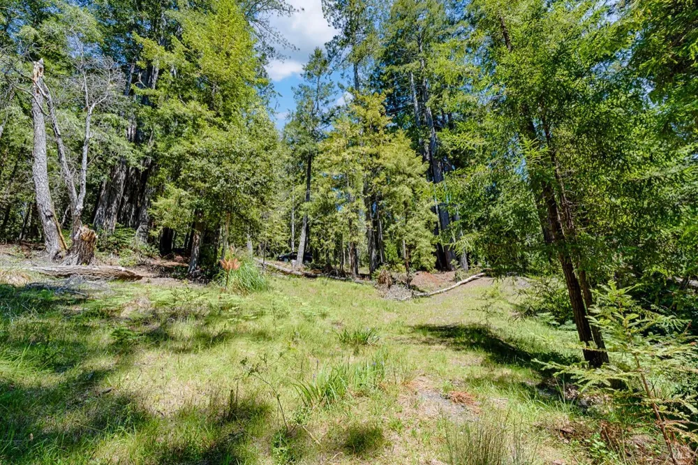 22196 Umland Circle Jenner, CA 95450