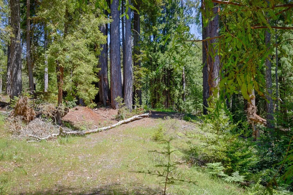 22196 Umland Circle Jenner, CA 95450