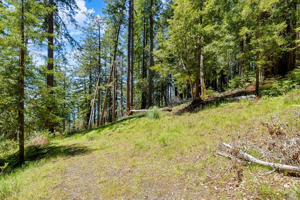 22196 Umland Circle Jenner, CA 95450