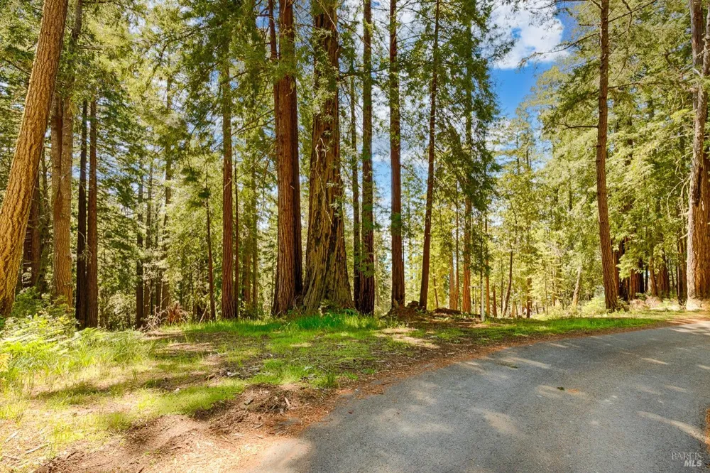 22196 Umland Circle Jenner, CA 95450