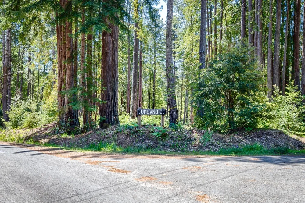 22196 Umland Circle Jenner, CA 95450