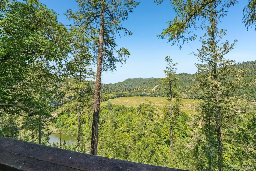 11688 Oak Road Forestville, CA 95436