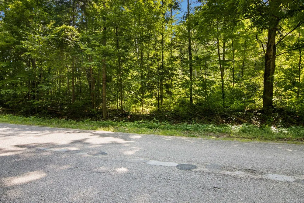 Lake Of The Woods Road Custer Township, MI 49615