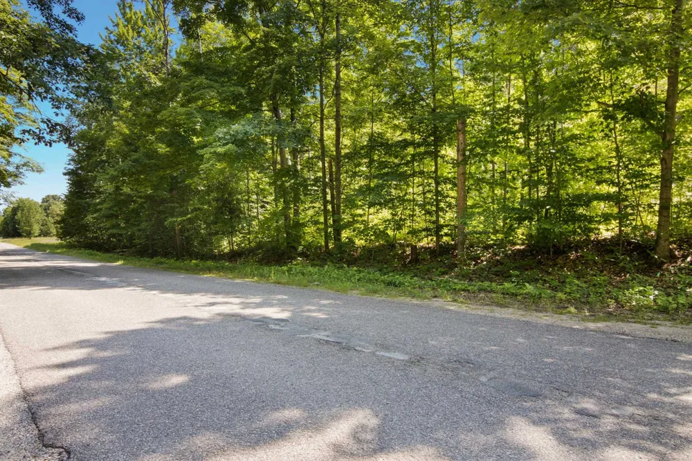 Lake Of The Woods Road Custer Township, MI 49615