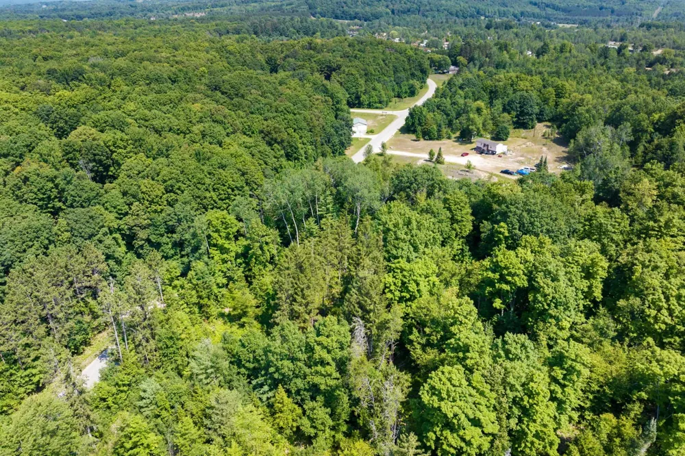 Lake Of The Woods Road Custer Township, MI 49615