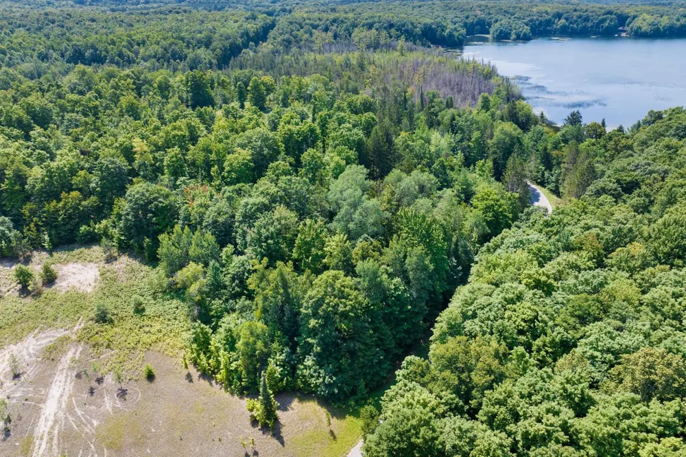 Lake Of The Woods Road Custer Township, MI 49615
