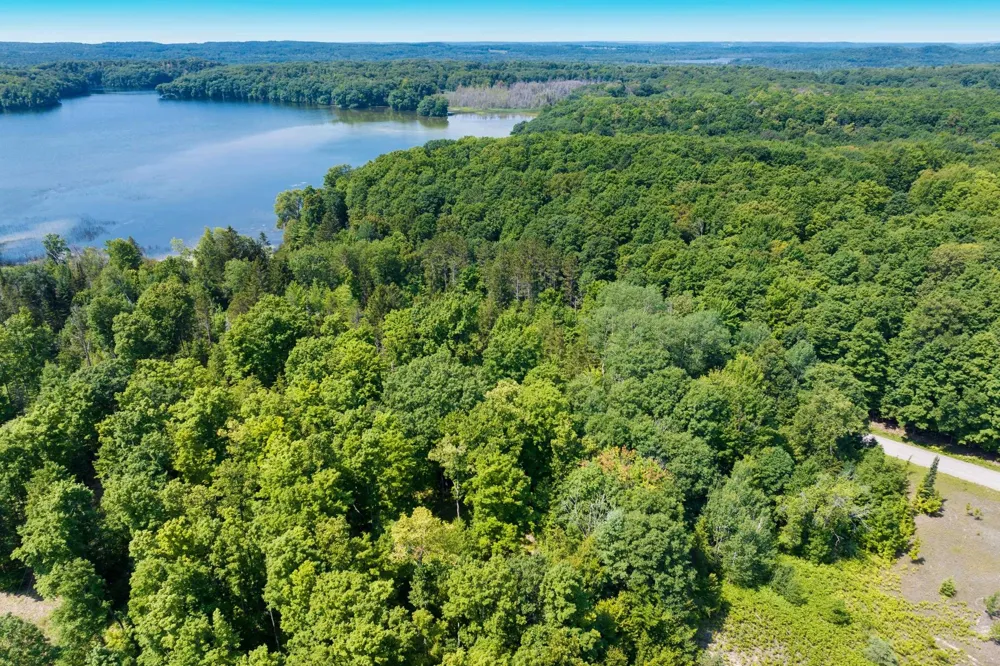 Lake Of The Woods Road Custer Township, MI 49615
