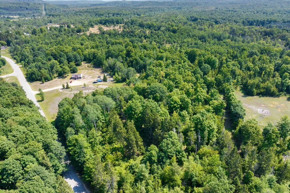Lake Of The Woods Road Custer Township, MI 49615