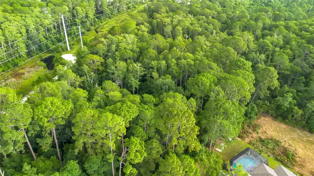 3198 SNOW DRIVE Deltona, FL 32738