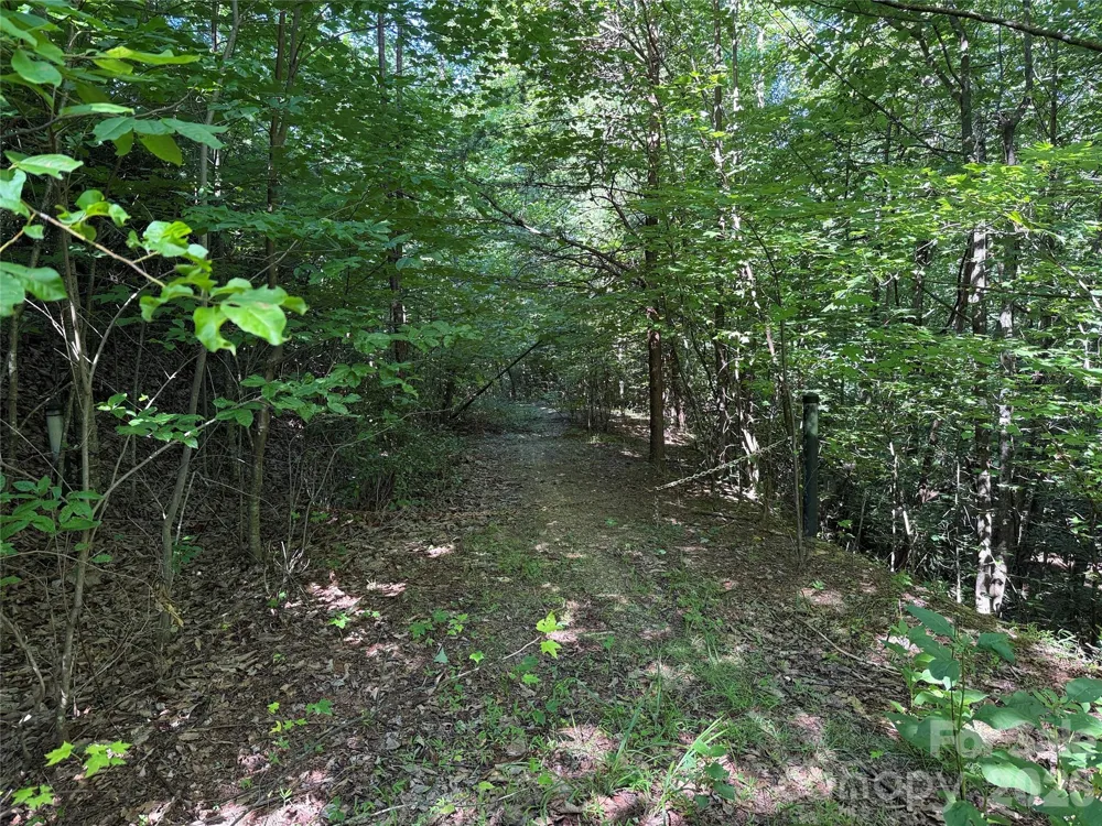 TBD Casey Mountain Road #222 Purlear, NC 28665