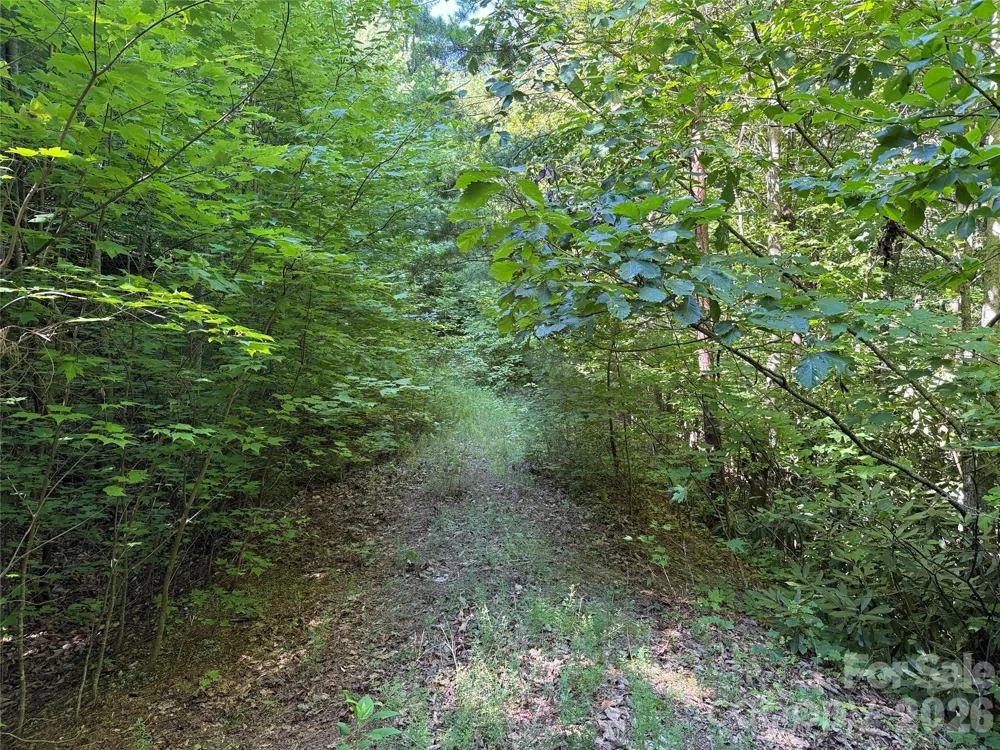 TBD Casey Mountain Road #222 Purlear, NC 28665