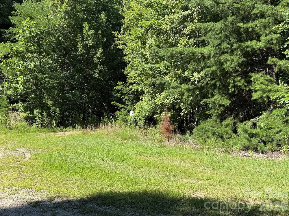 TBD Casey Mountain Road #222 Purlear, NC 28665