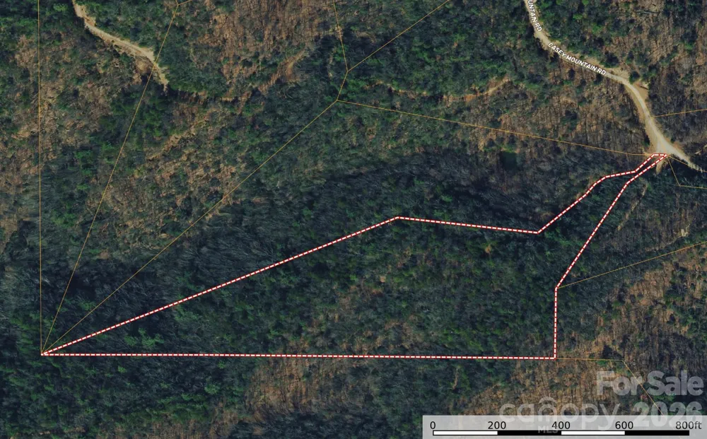 TBD Casey Mountain Road #222 Purlear, NC 28665