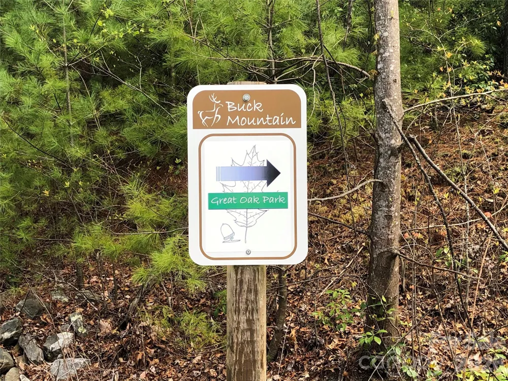 TBD Casey Mountain Road #222 Purlear, NC 28665