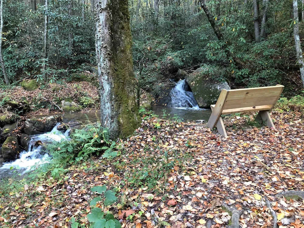 TBD Casey Mountain Road #222 Purlear, NC 28665