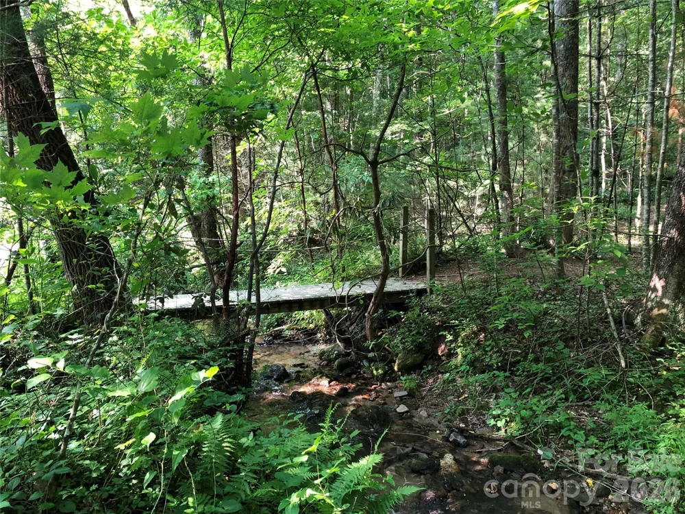 TBD Casey Mountain Road #222 Purlear, NC 28665