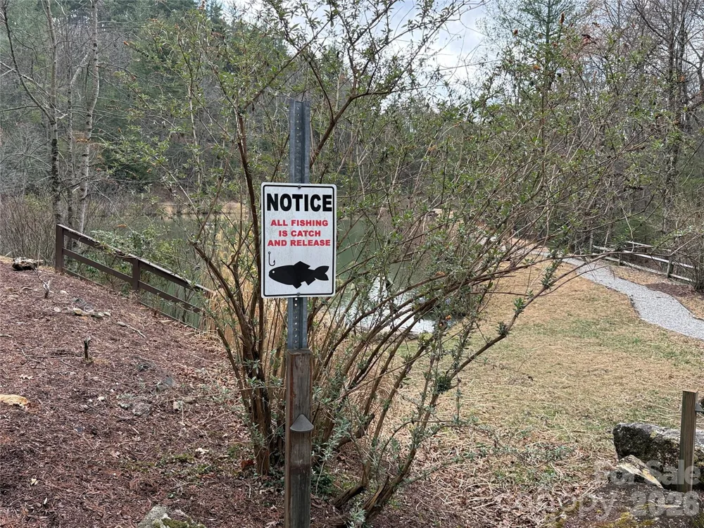 TBD Casey Mountain Road #222 Purlear, NC 28665