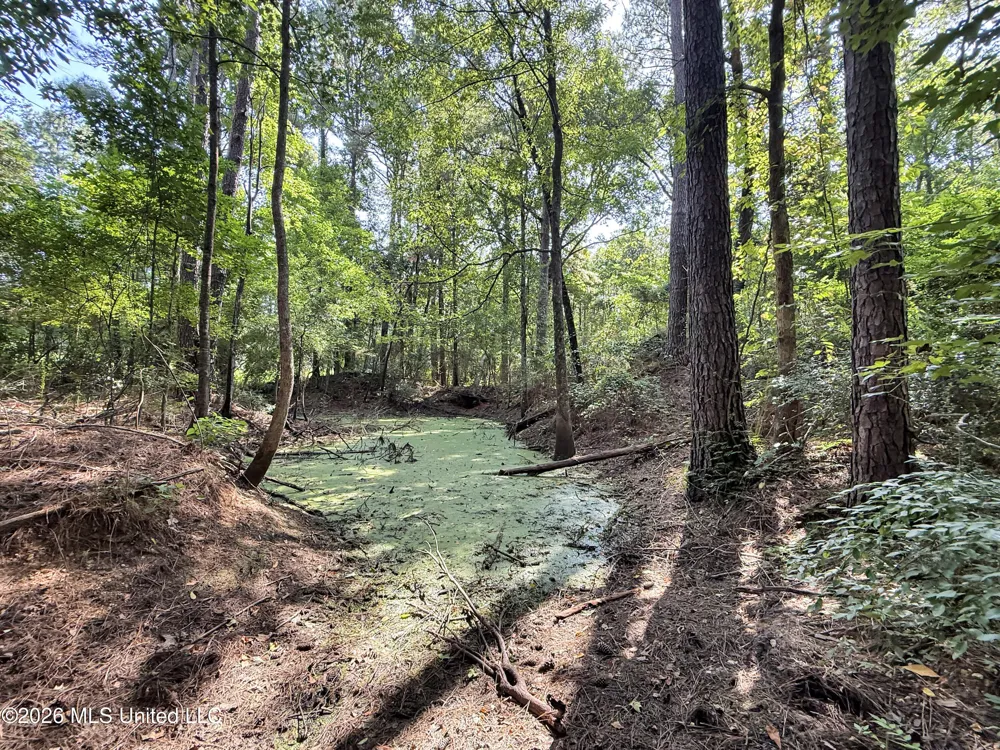 2435 Brignall Road Brookhaven, MS 39601