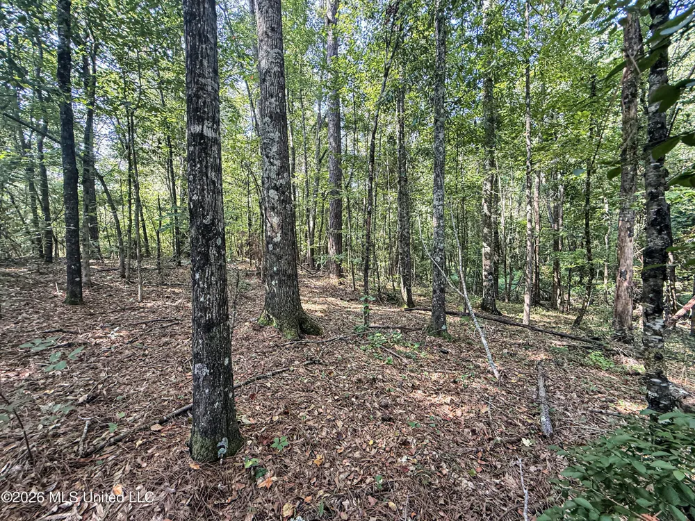 2435 Brignall Road Brookhaven, MS 39601